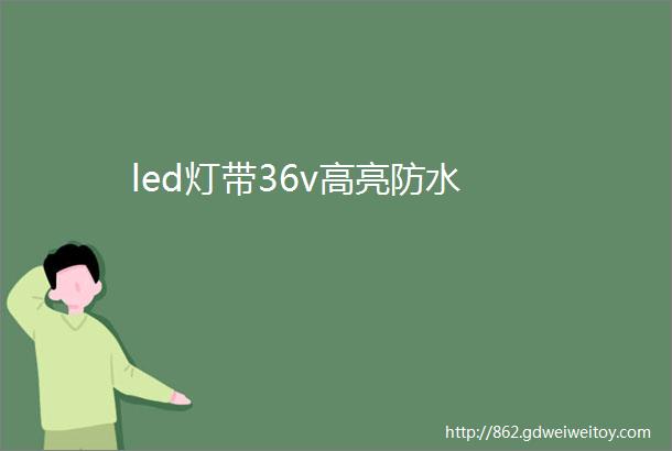 led灯带36v高亮防水
